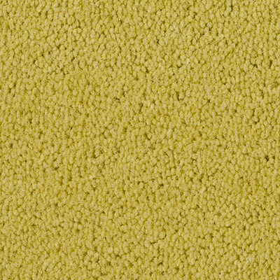 pile plush carpet portsea yellowstone carpets flooring